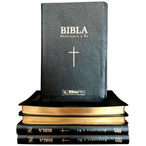 BIBLA  (Besëlidhja e Re - Varianti standard)