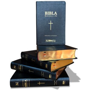 BIBLA  (Besëlidhja e Re - Interlinear dhe standard)